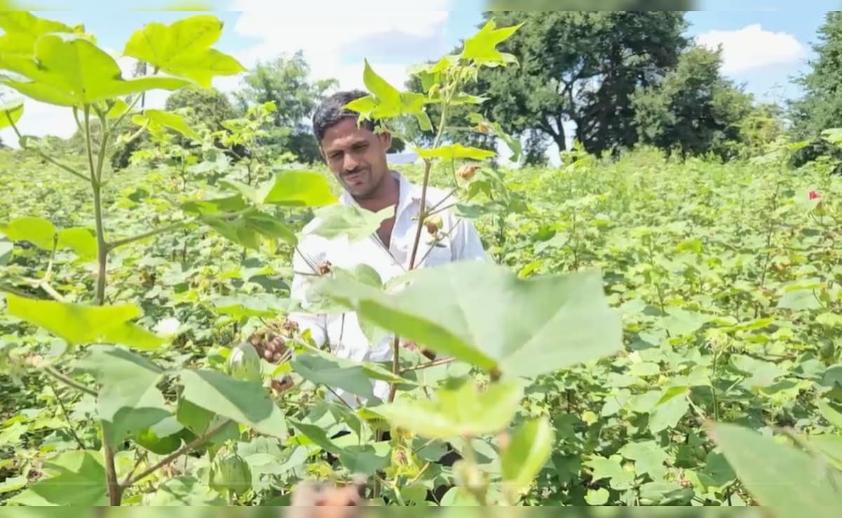 KBC win farmer kailas kuntewad