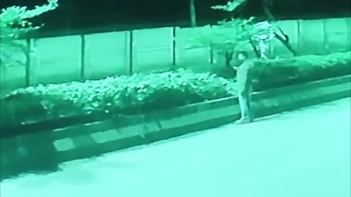Nashik_Tree Cutting Crime
