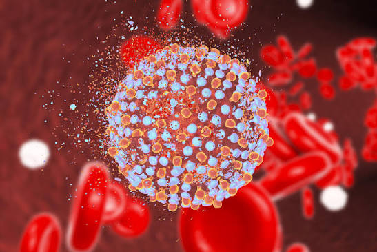 hepatitis C